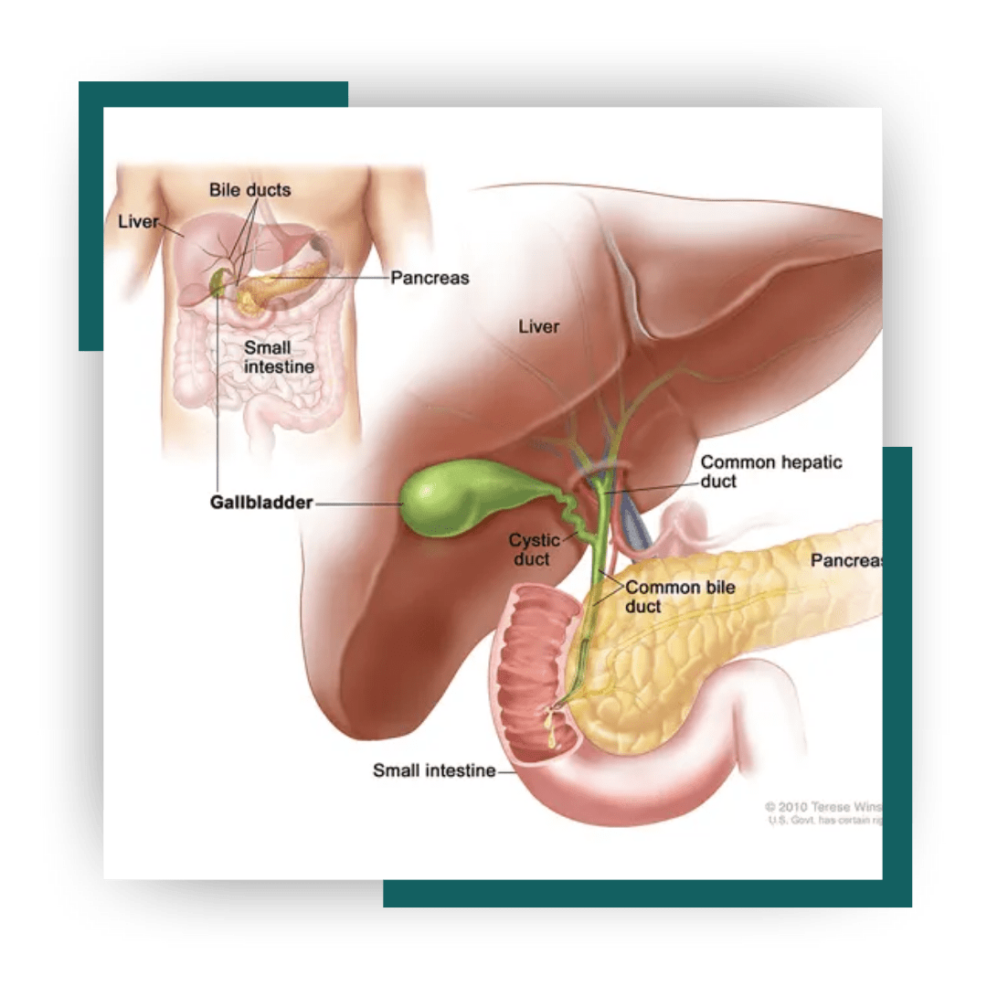 BEST THORACOSCOPIC SURGERY IN JALANDHAR