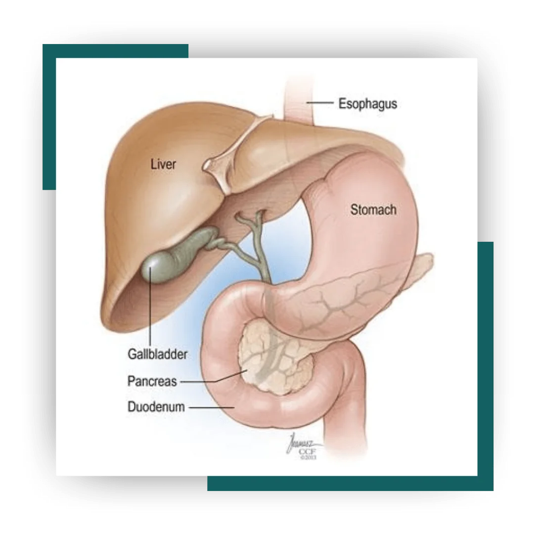 Best Gall Bladder Surgery In Jalandhar